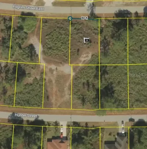 1036 Pilgrim Street E Lehigh Acres FL 33974