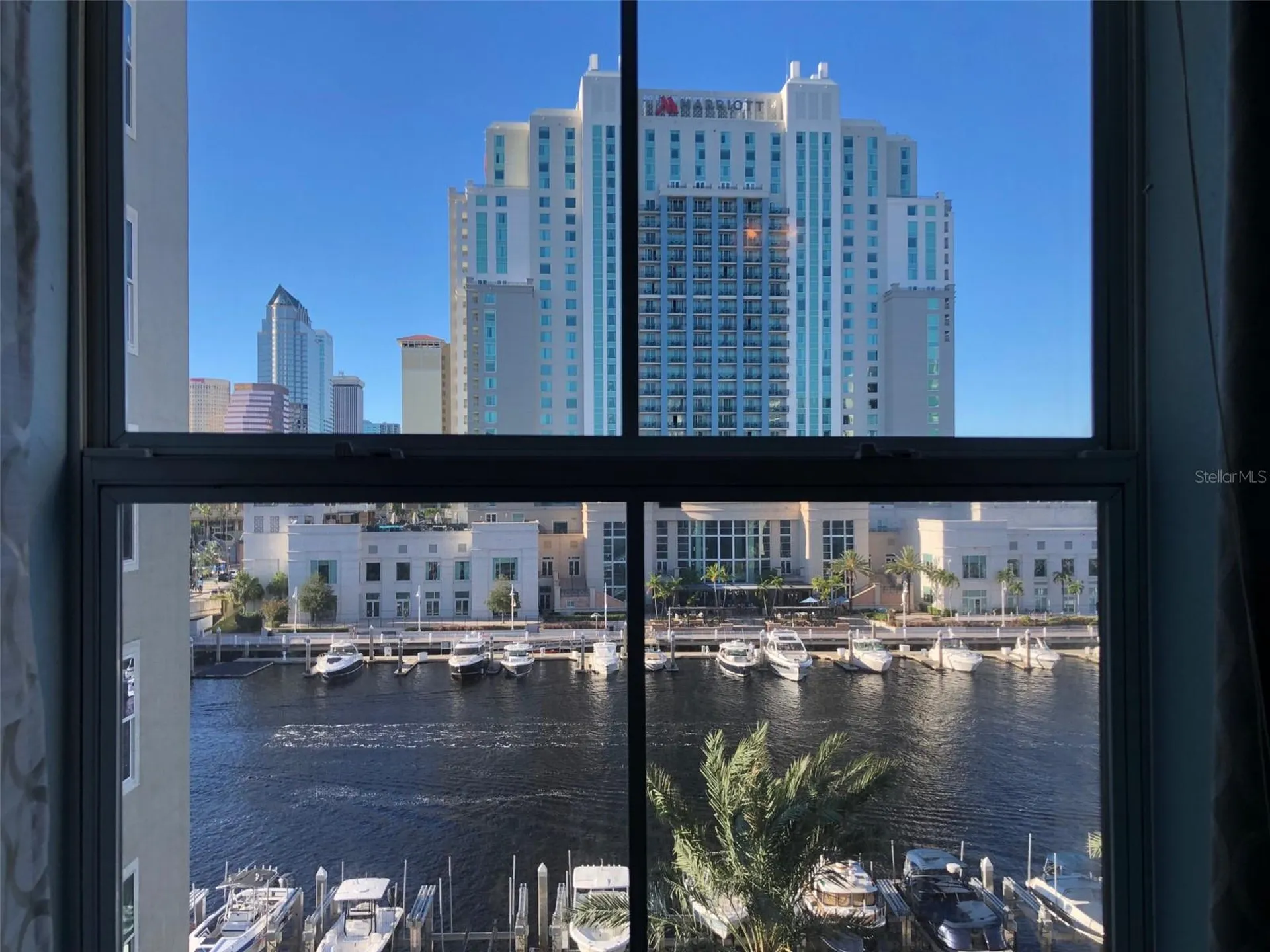700 S Harbour Island Boulevard Tampa FL 33602