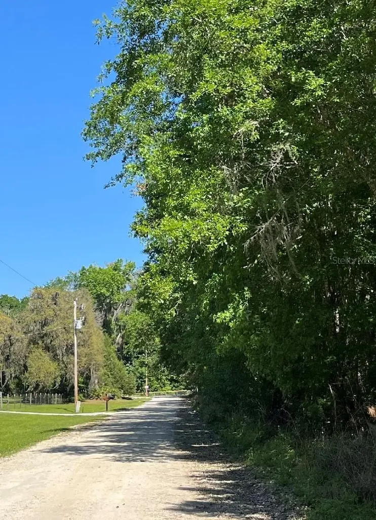 14220 NW 182nd Lane Williston FL 32696