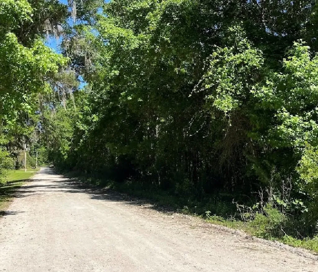 14220 NW 182nd Lane Williston FL 32696