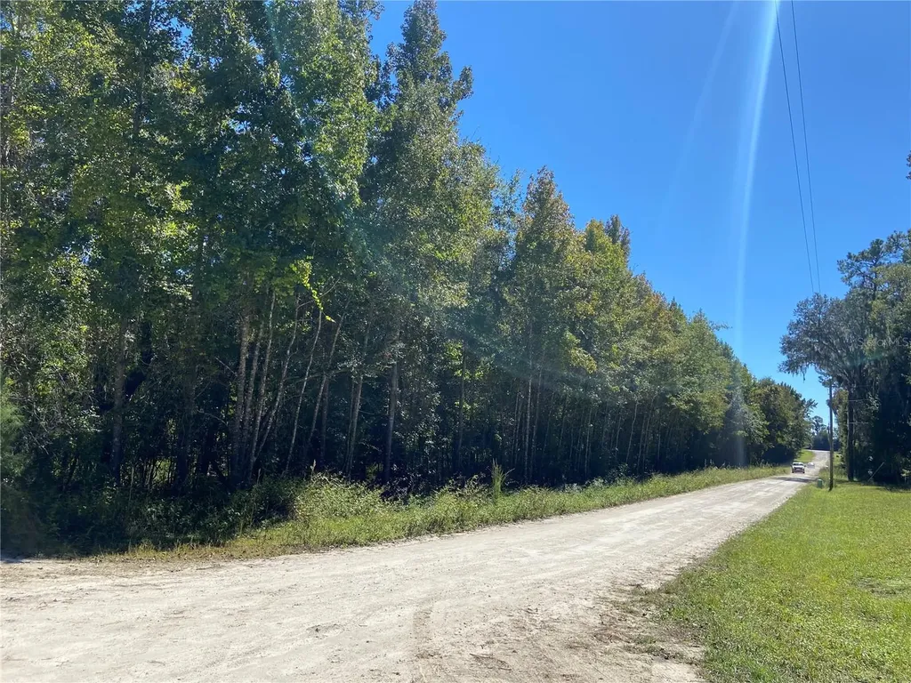 14220 NW 182nd Lane Williston FL 32696
