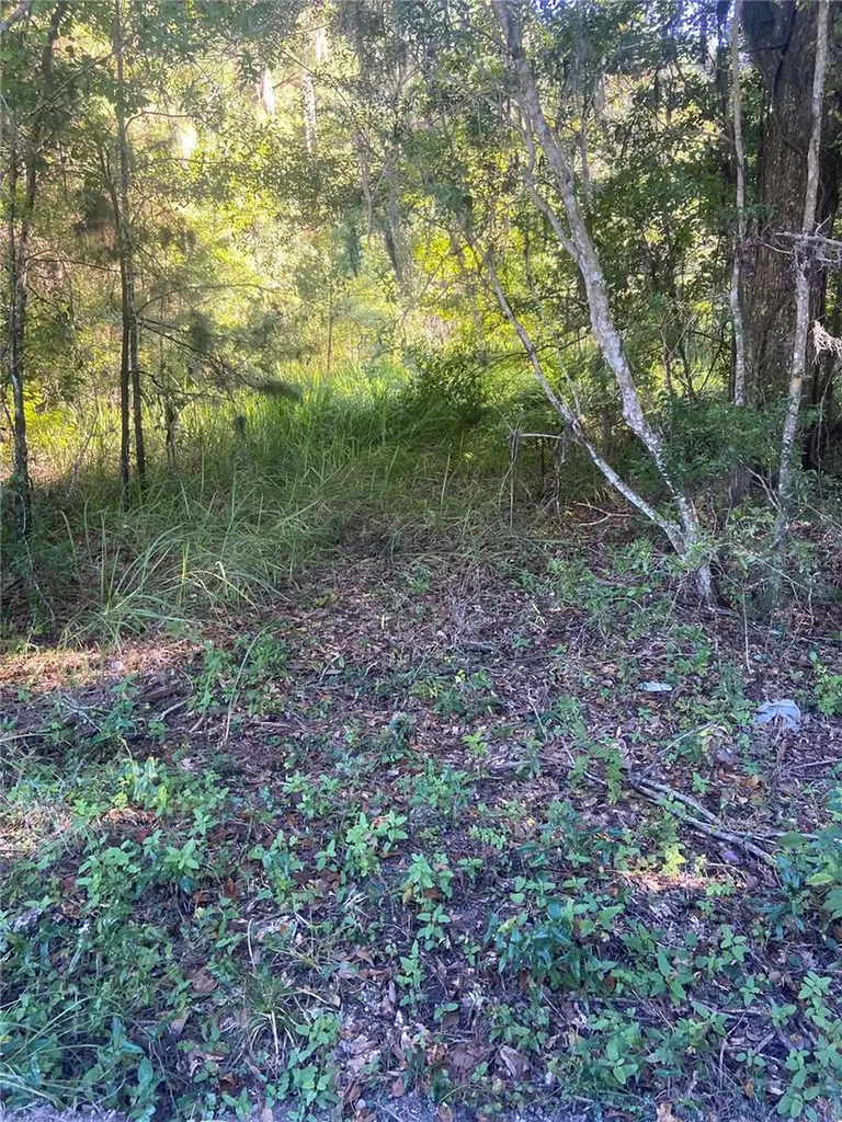 14220 NW 182nd Lane Williston FL 32696