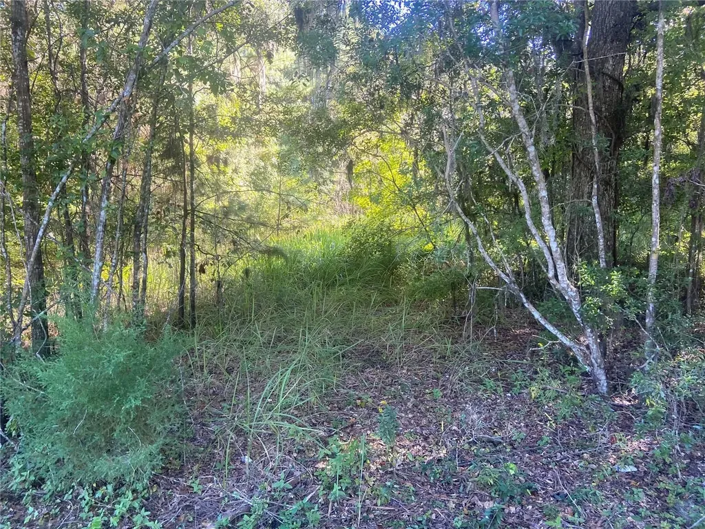 14220 NW 182nd Lane Williston FL 32696