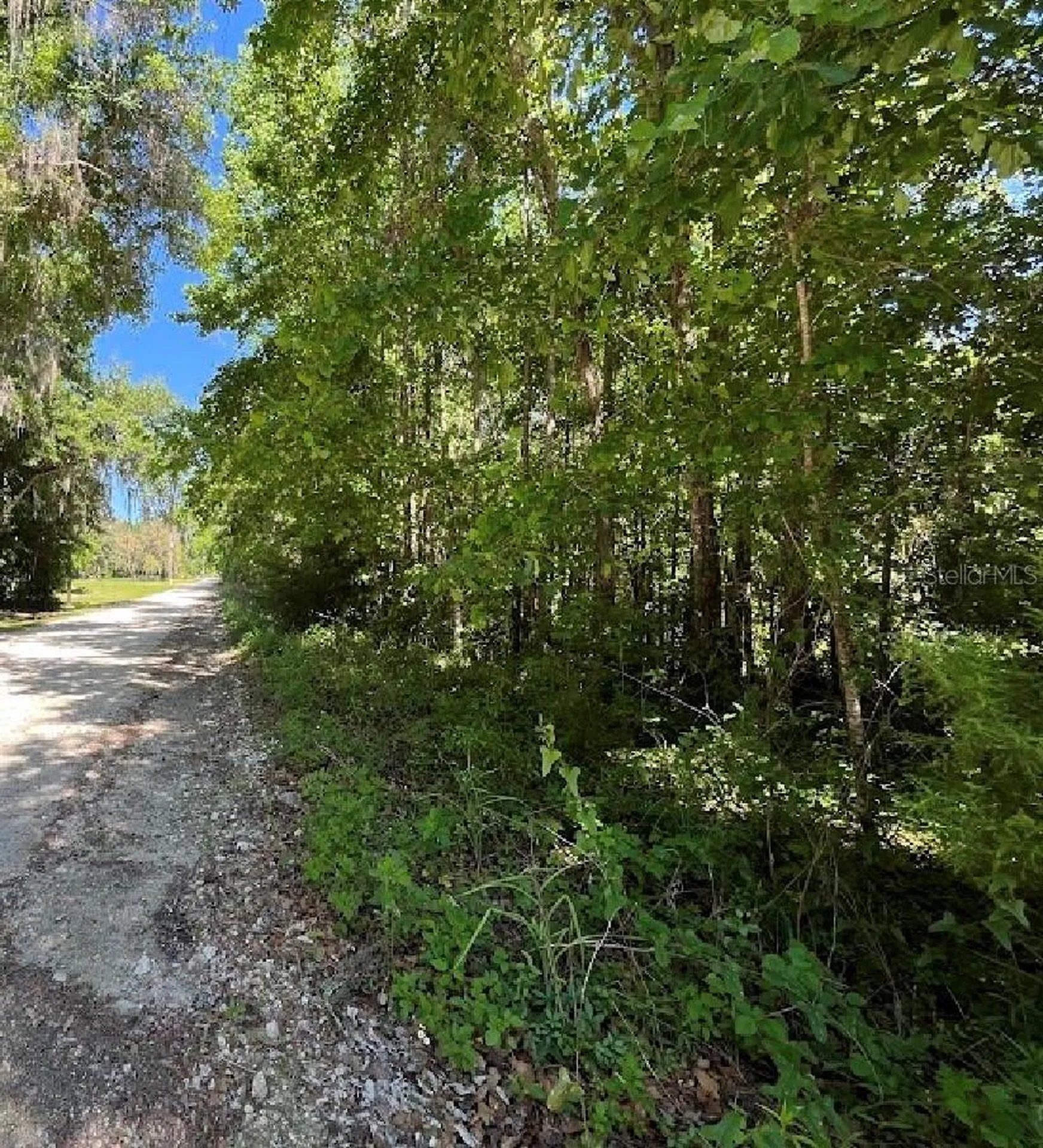 14220 NW 182nd Lane Williston FL 32696