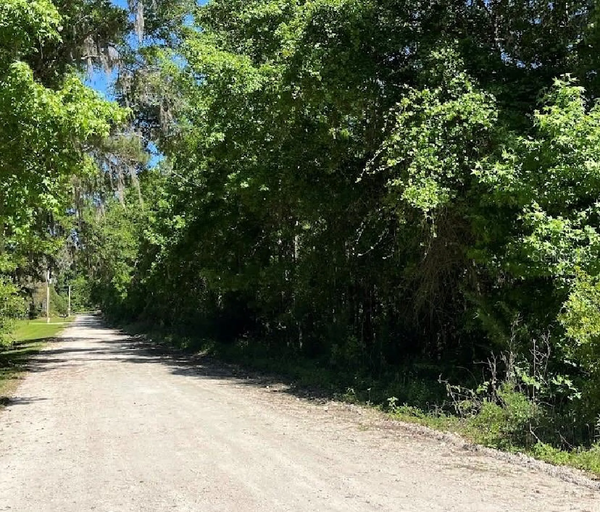 14220 NW 182nd Lane Williston FL 32696