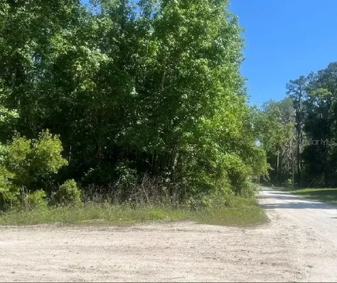14220 NW 182nd Lane Williston FL 32696