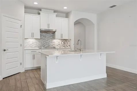 11031 Jackson Cove Winter Garden FL 34787