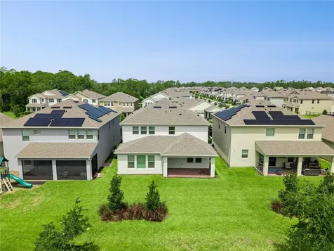 11031 Jackson Cove Winter Garden FL 34787
