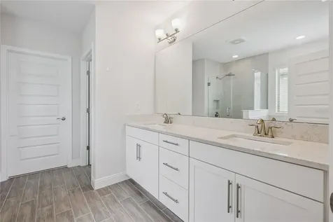11031 Jackson Cove Winter Garden FL 34787