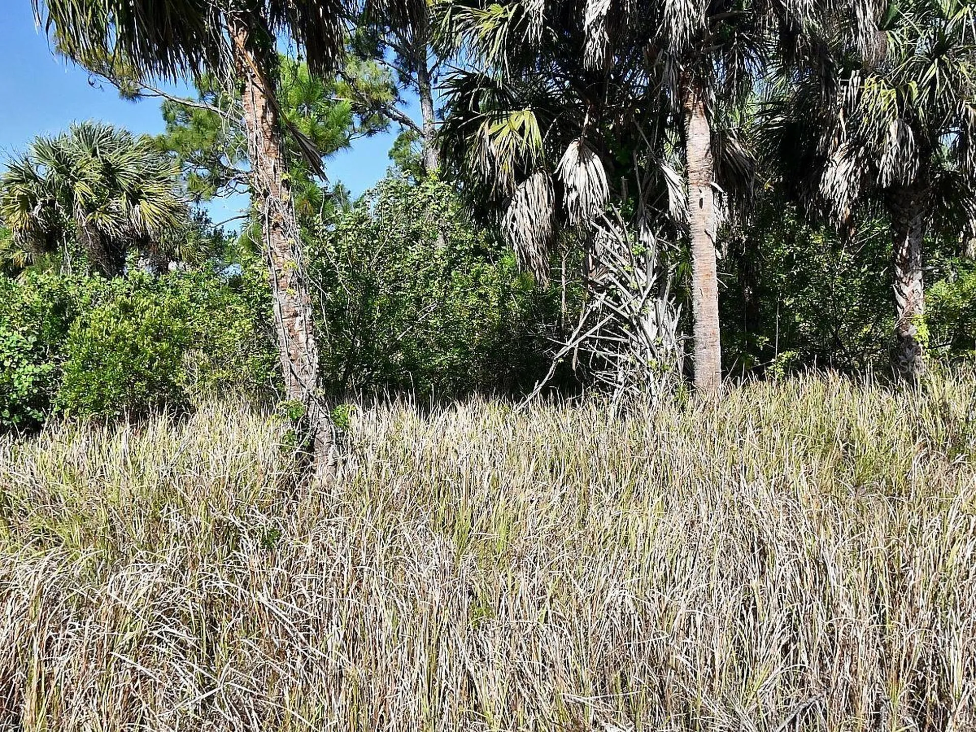 Dennis Street North Port FL 34286