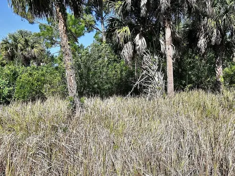 Dennis Street North Port FL 34286