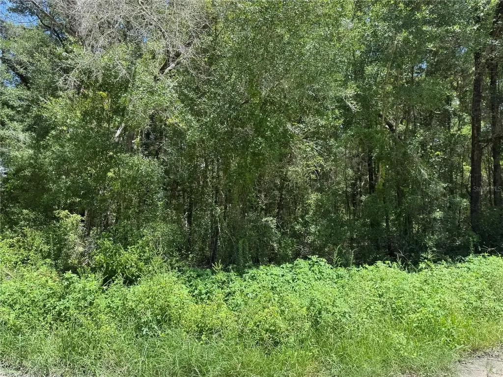 SW 139th Court Dunnellon FL 34432