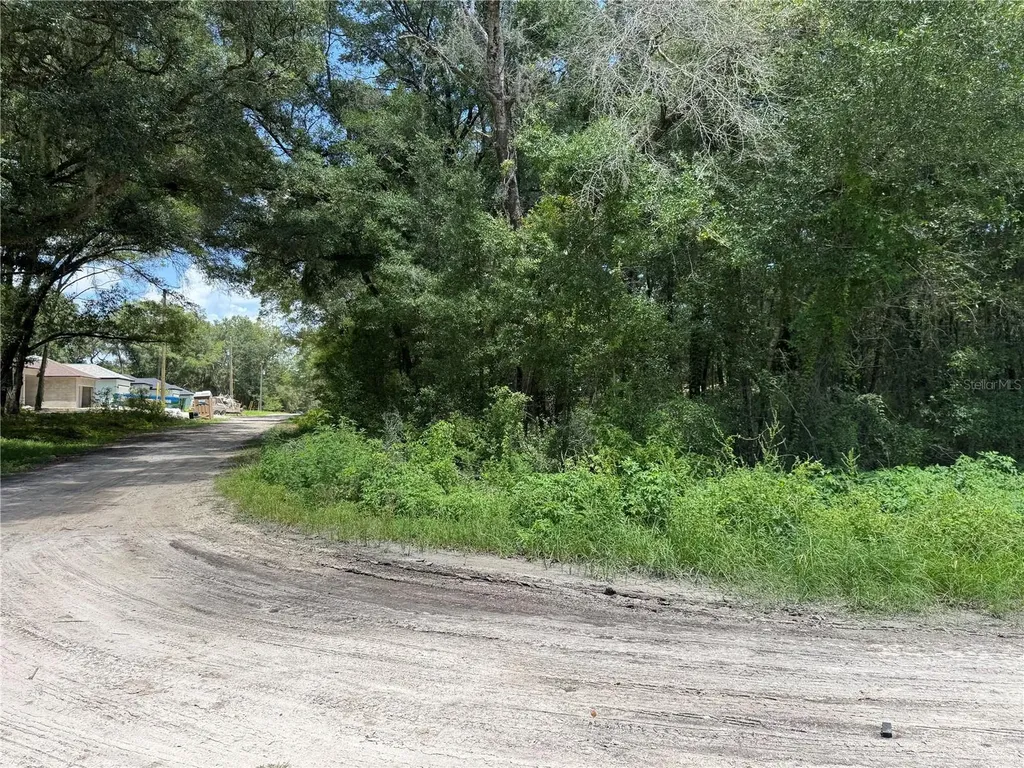 SW 139th Court Dunnellon FL 34432