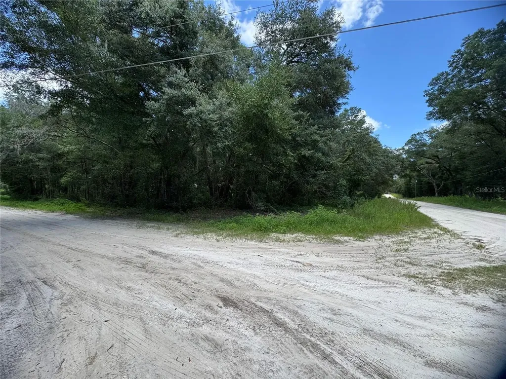 SW 139th Court Dunnellon FL 34432