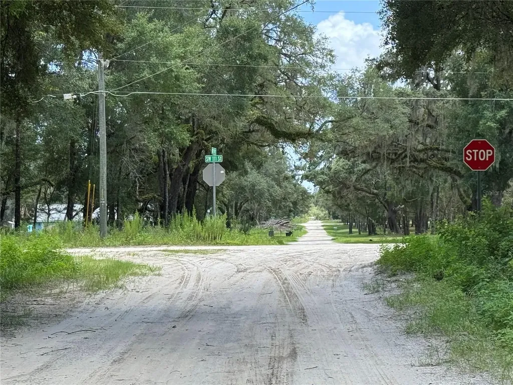 SW 139th Court Dunnellon FL 34432