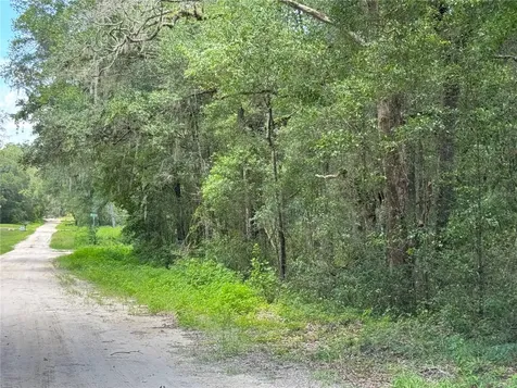 SW 139th Court Dunnellon FL 34432