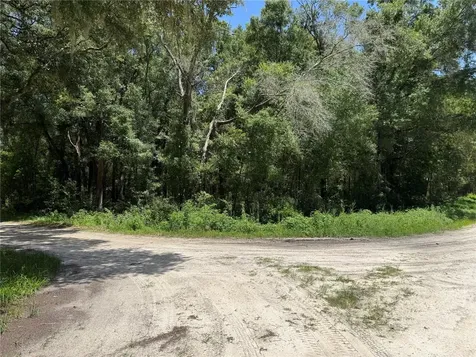 SW 139th Court Dunnellon FL 34432