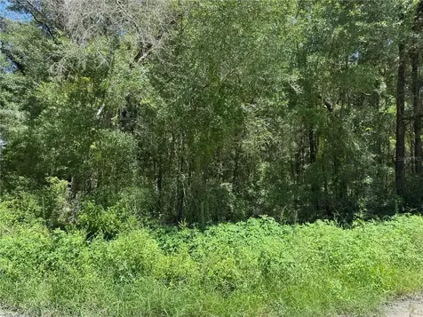 SW 139th Court Dunnellon FL 34432