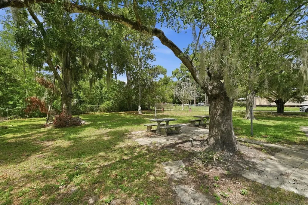 7825 Calabash Lane New Port Richey FL 34653