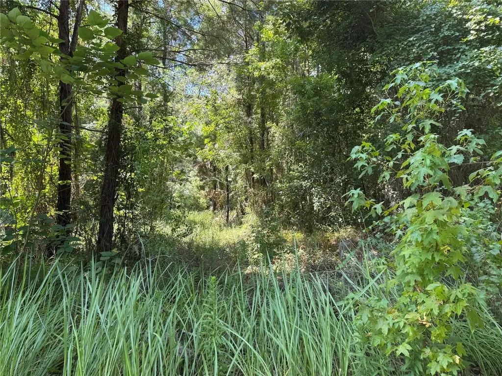 2120 SW 76th Lane Ocala FL 34476