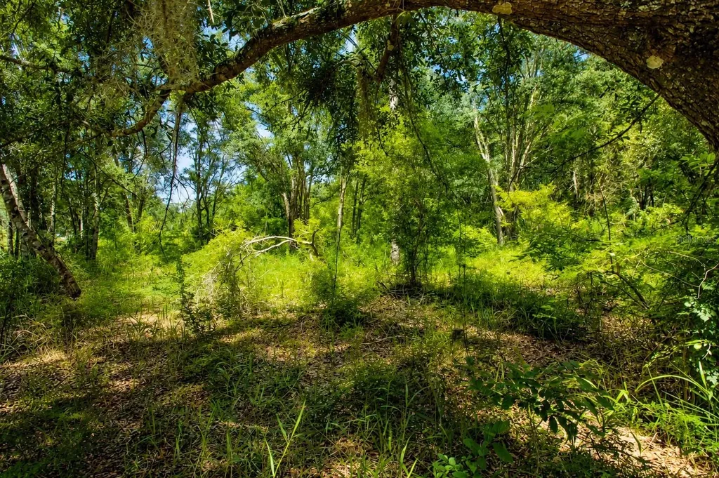 39 NE 526th Street Old Town FL 32680