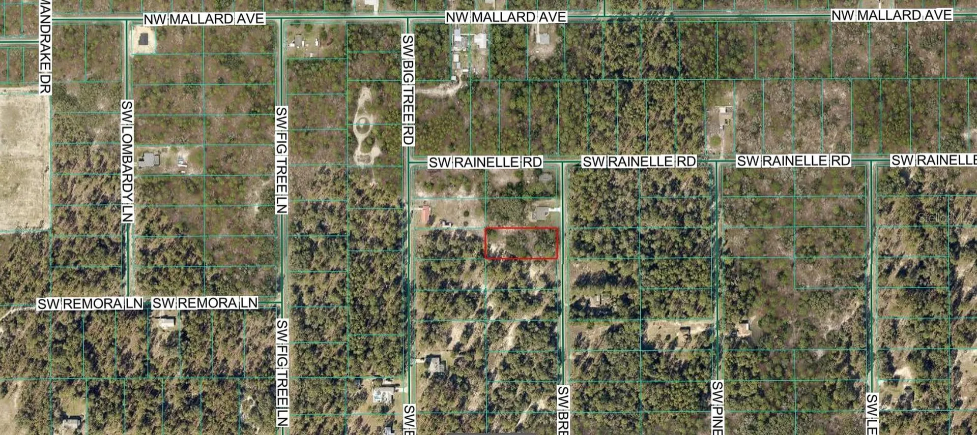 00 SW Breezy Point Drive Dunnellon FL 34431