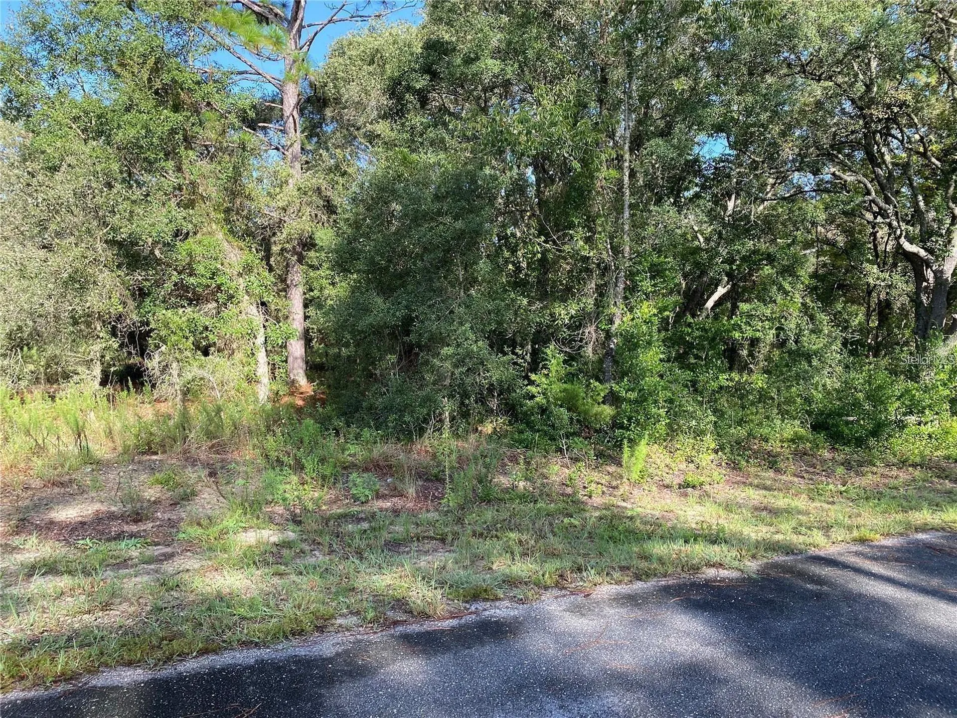 00 SW Breezy Point Drive Dunnellon FL 34431