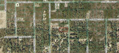 00 SW Breezy Point Drive Dunnellon FL 34431