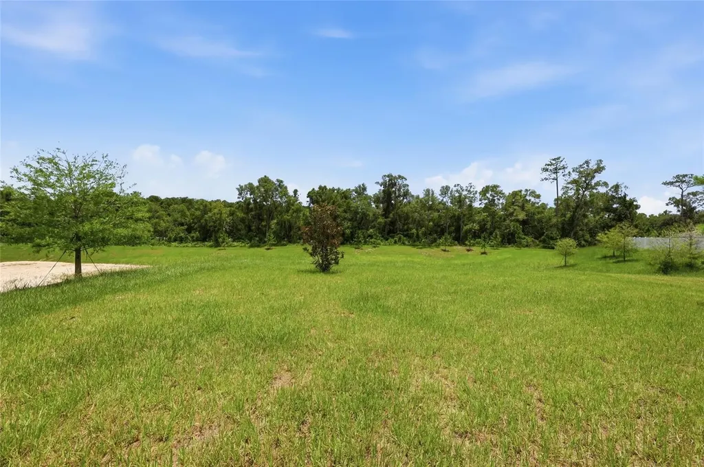 1251 Inkberry Circle Deland FL 32720