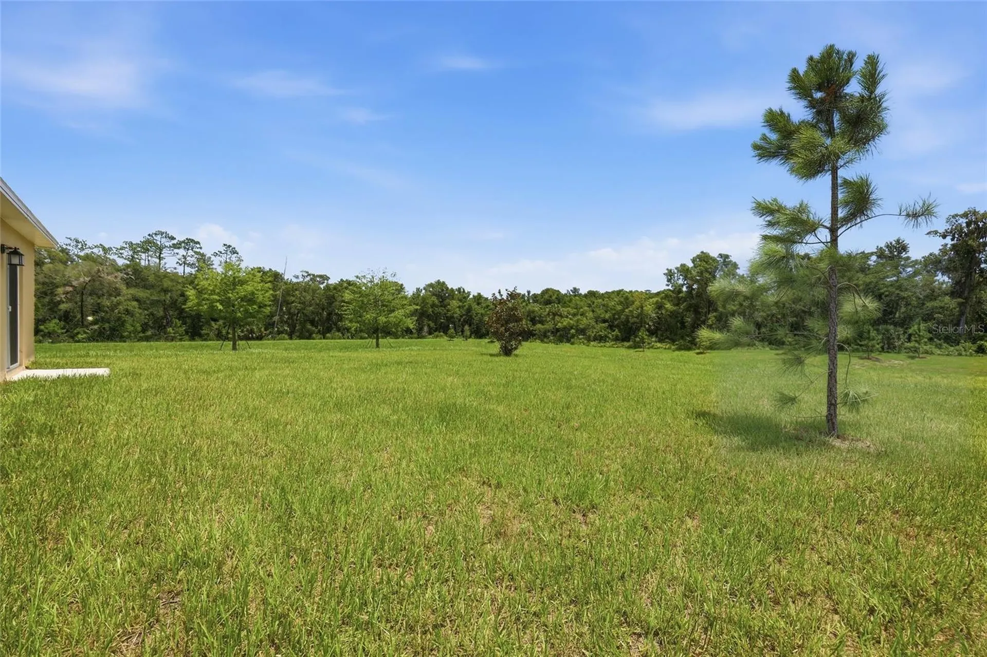 1251 Inkberry Circle Deland FL 32720