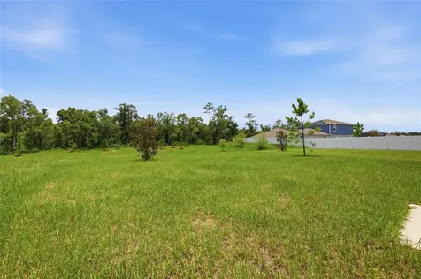 1251 Inkberry Circle Deland FL 32720