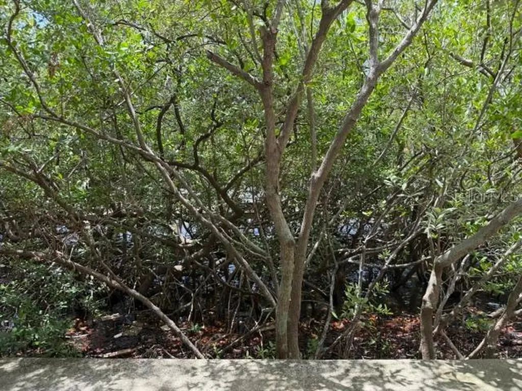 2733 Via Cipriani Clearwater FL 33764