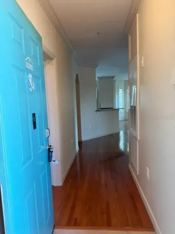 2733 Via Cipriani Clearwater FL 33764