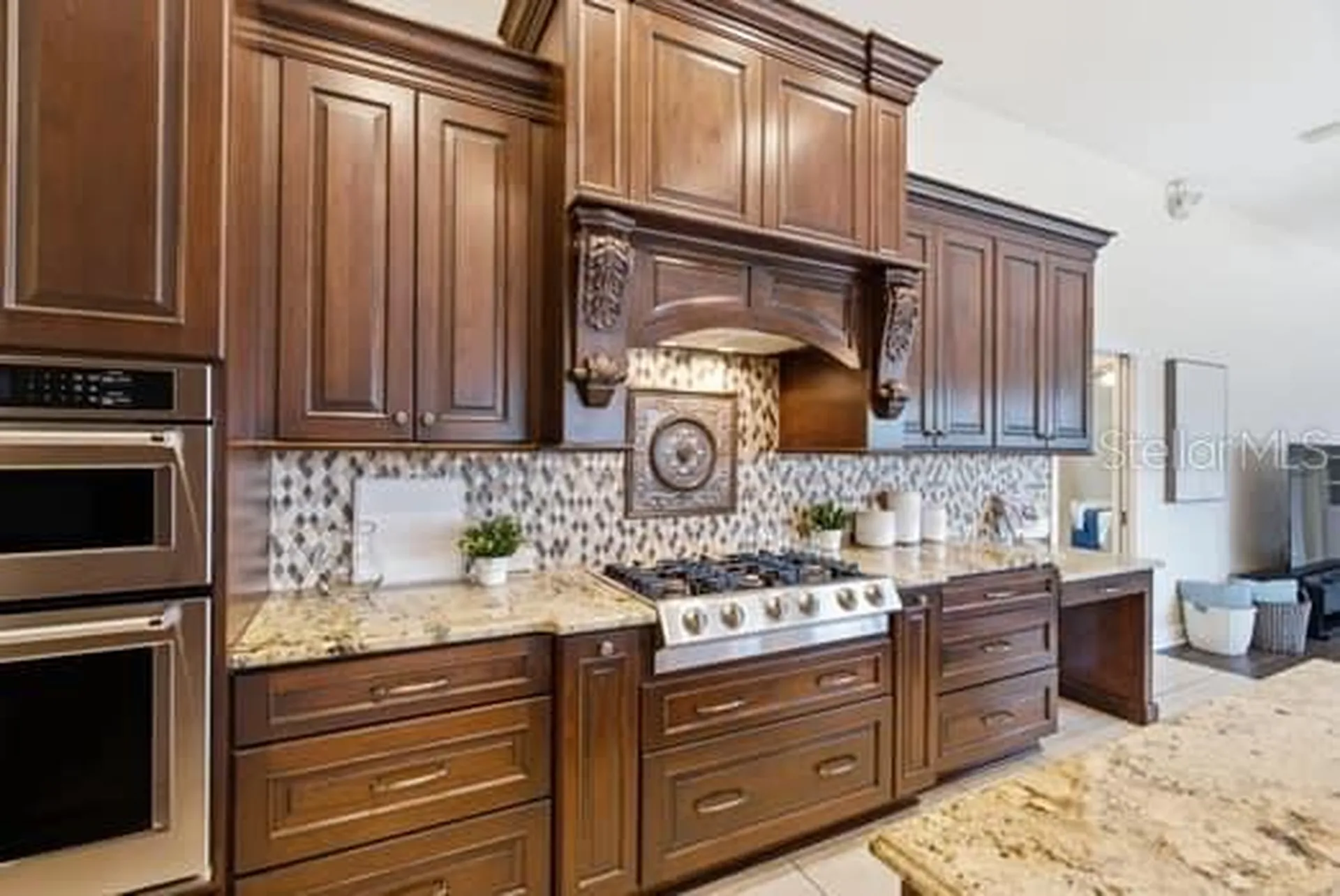 18655 Avenue Capri Lutz FL 33558