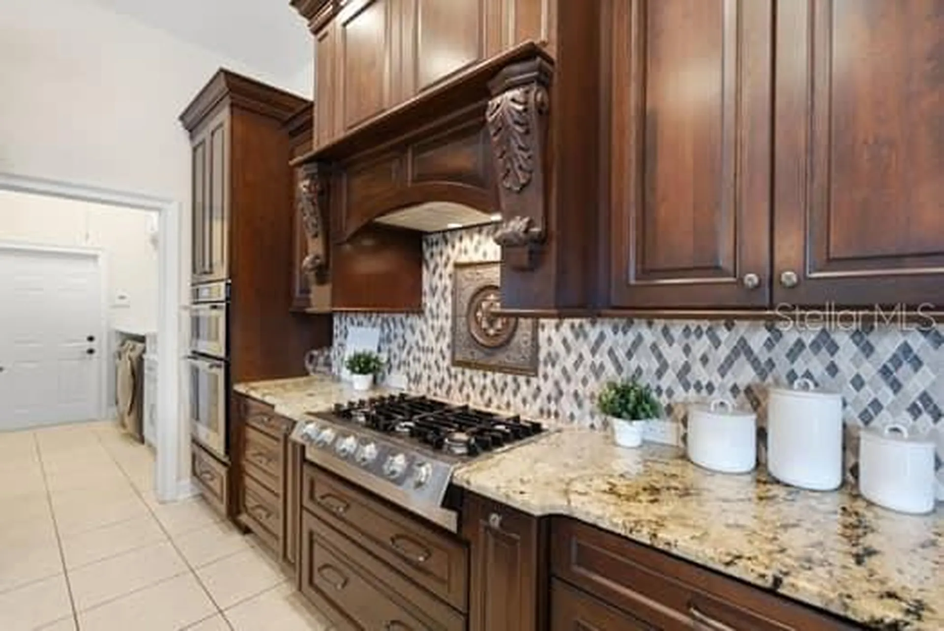 18655 Avenue Capri Lutz FL 33558
