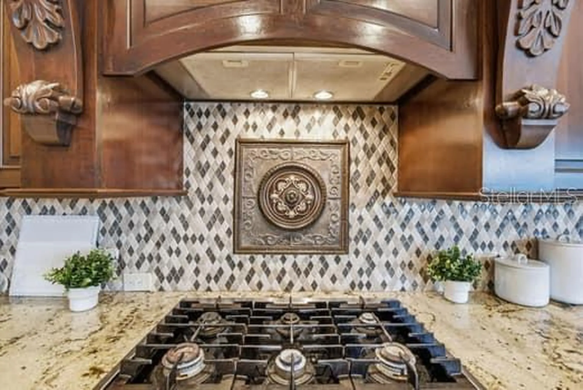 18655 Avenue Capri Lutz FL 33558