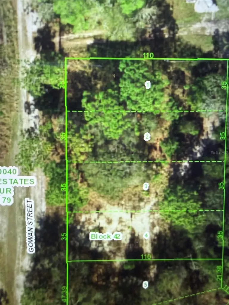 11142 Gowan Street New Port Richey FL 34654