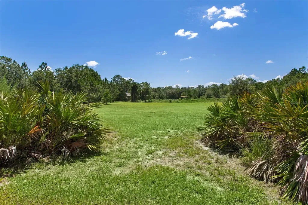 8408 Woodleaf Boulevard Wesley Chapel FL 33544