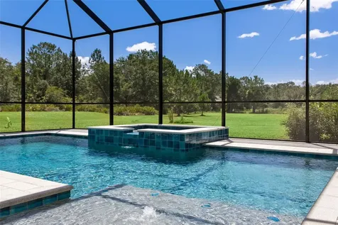 8408 Woodleaf Boulevard Wesley Chapel FL 33544