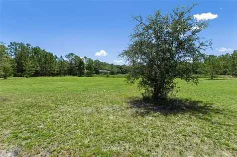 8408 Woodleaf Boulevard Wesley Chapel FL 33544