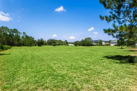 8408 Woodleaf Boulevard Wesley Chapel FL 33544