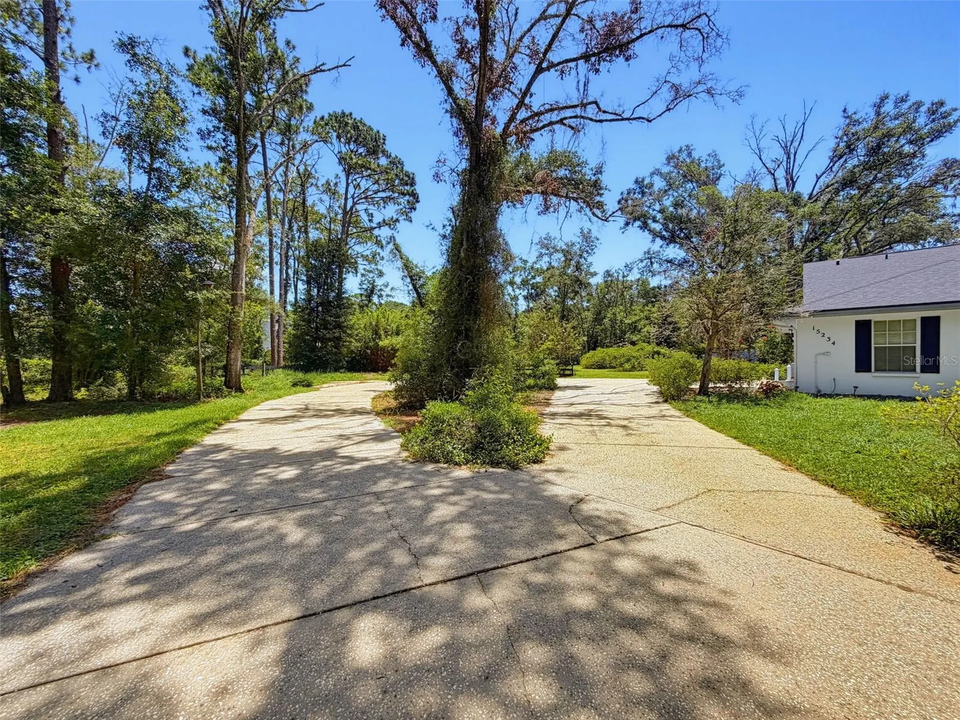 15234 Scanio Spring Hill FL 34610