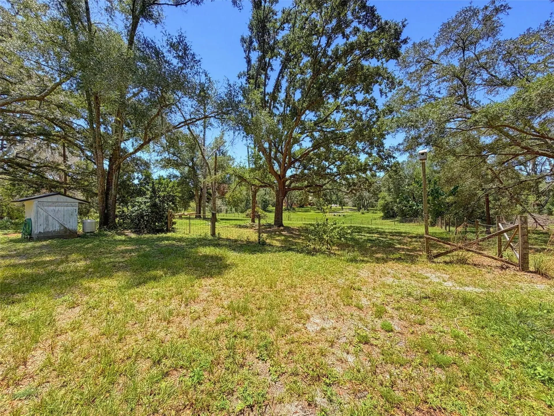 15234 Scanio Spring Hill FL 34610