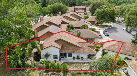 207 Lighthouse Court Safety Harbor FL 34695