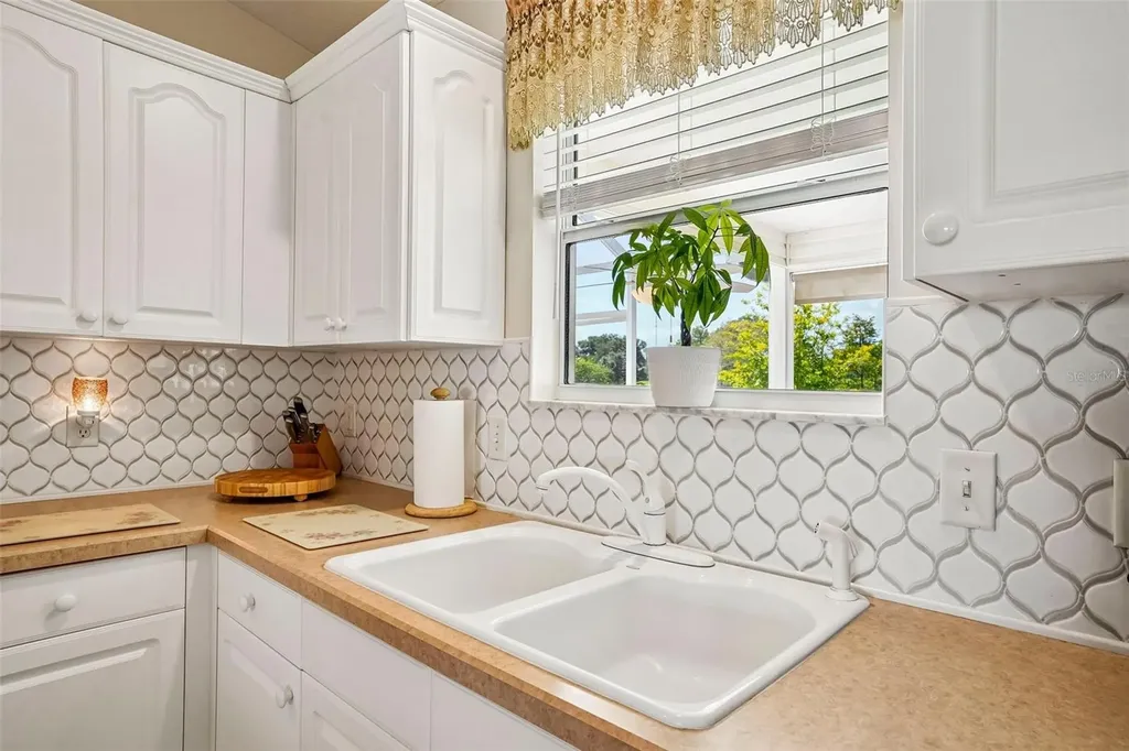 917 Eastmont Court The Villages FL 32162