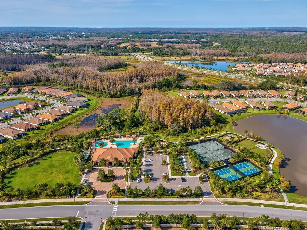 11357 Callisia Drive Odessa FL 33556