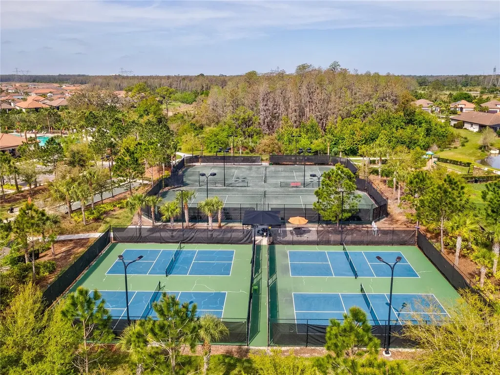 11357 Callisia Drive Odessa FL 33556
