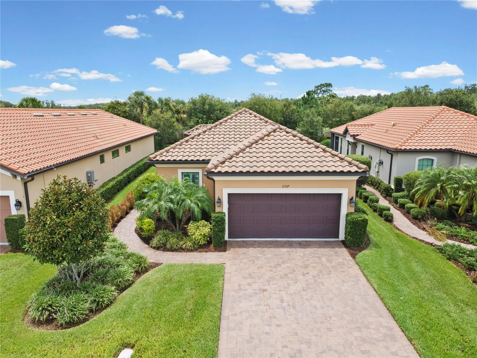 11357 Callisia Drive Odessa FL 33556