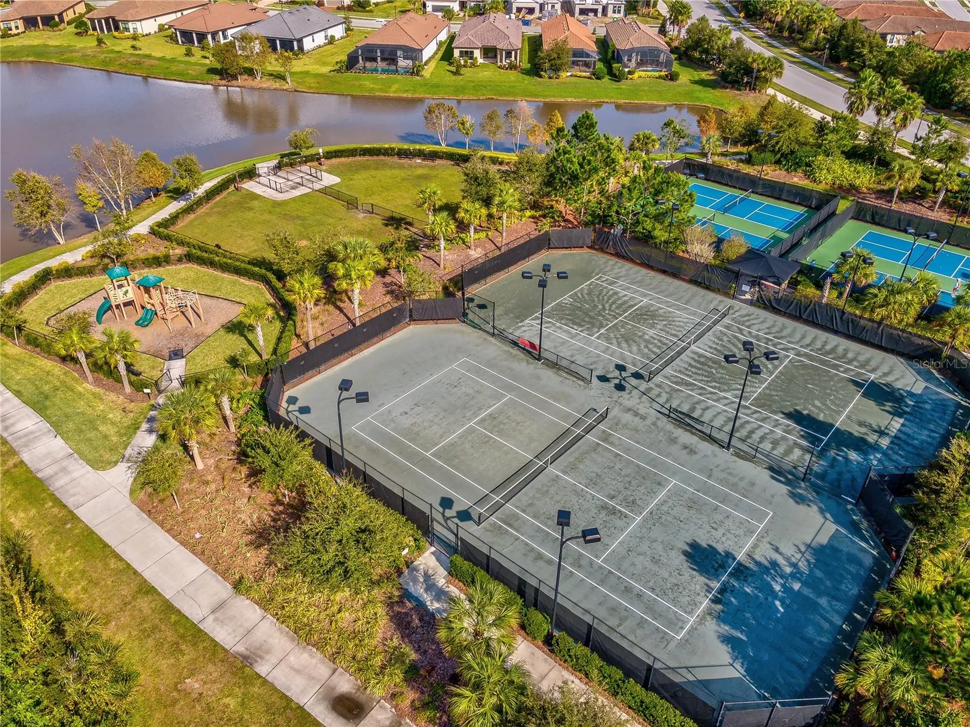 11357 Callisia Drive Odessa FL 33556