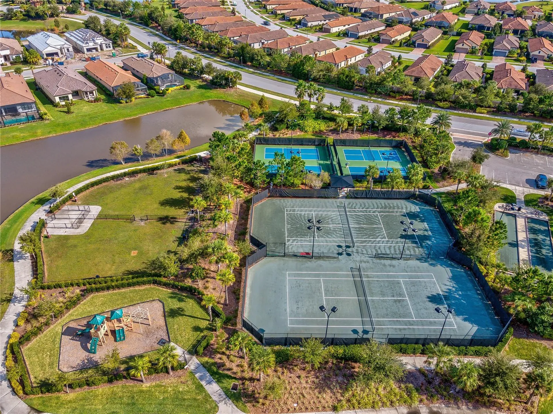 11357 Callisia Drive Odessa FL 33556